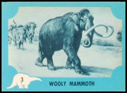 3 Wooly Mammoth